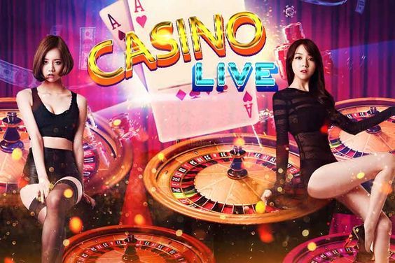 Big Win Cat Live Casino